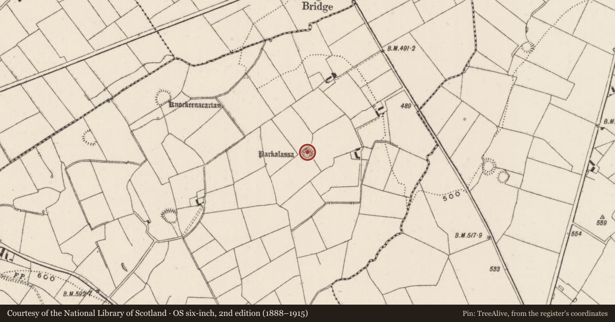 Ordnance Survey six-inch map, 2nd edition (1888–1915) covering the location of Ringfort - rath, Curraghturk, County Limerick, with a pin at the register's coordinates