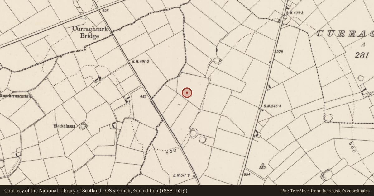 Ordnance Survey six-inch map, 2nd edition (1888–1915) covering the location of Barrow - unclassified, Ballyfauskeen, County Limerick, with a pin at the register's coordinates