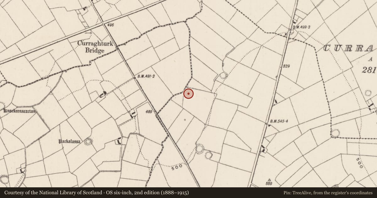 Ordnance Survey six-inch map, 2nd edition (1888–1915) covering the location of Barrow - unclassified, Ballyfauskeen, County Limerick, with a pin at the register's coordinates