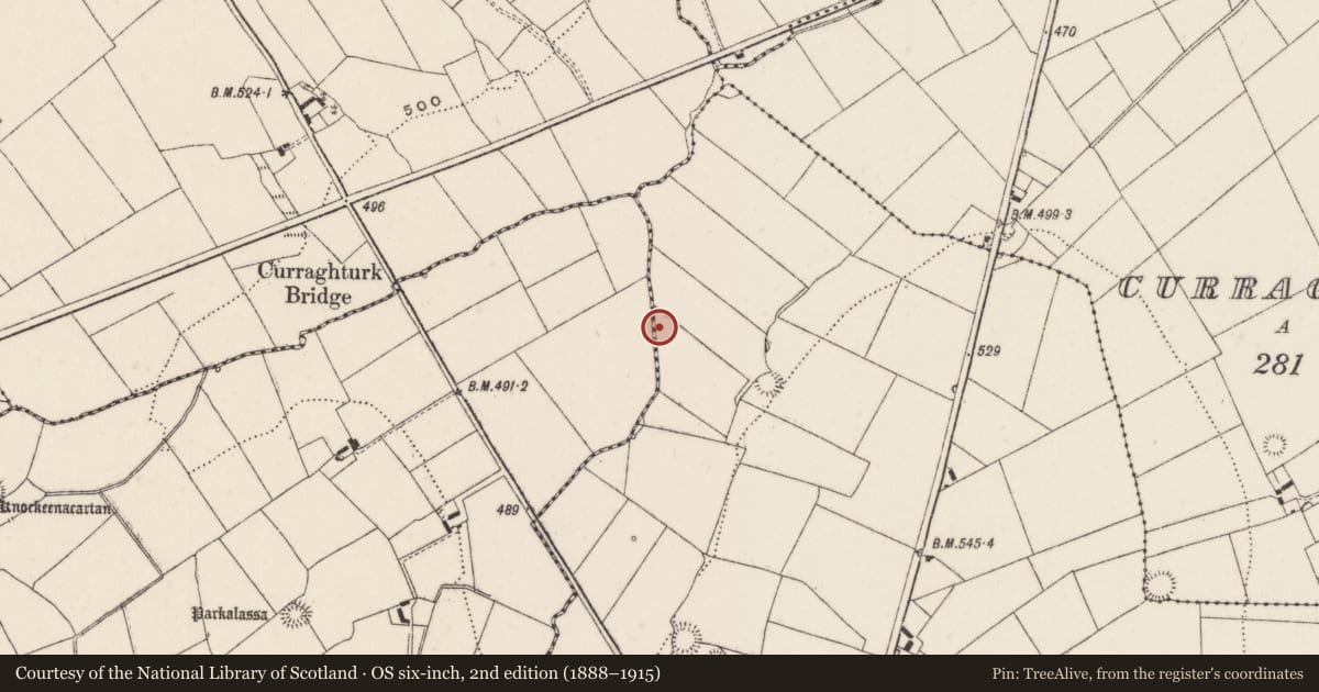 Ordnance Survey six-inch map, 2nd edition (1888–1915) covering the location of Earthwork, Ballyfauskeen, County Limerick, with a pin at the register's coordinates