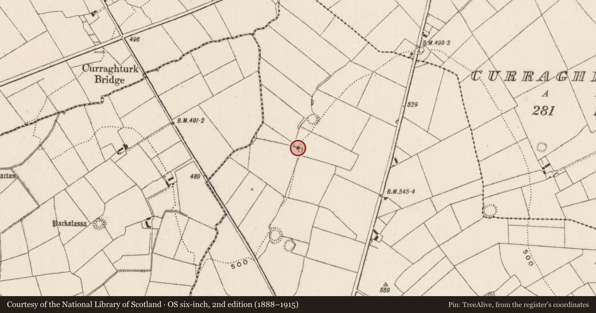 Ordnance Survey six-inch map, 2nd edition (1888–1915) covering the location of Barrow - unclassified, Ballyfauskeen, County Limerick, with a pin at the register's coordinates