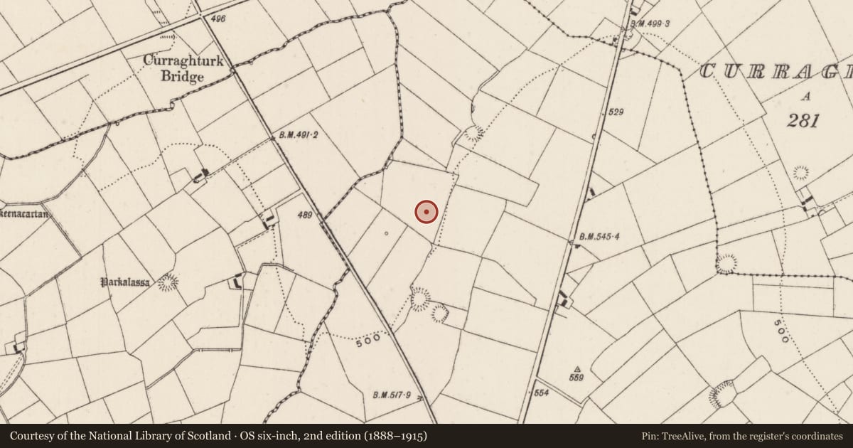 Ordnance Survey six-inch map, 2nd edition (1888–1915) covering the location of Barrow - unclassified, Ballyfauskeen, County Limerick, with a pin at the register's coordinates