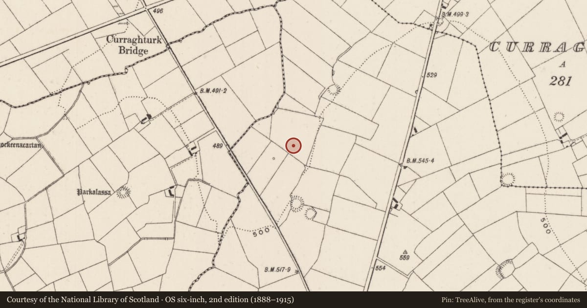 Ordnance Survey six-inch map, 2nd edition (1888–1915) covering the location of Barrow - unclassified, Ballyfauskeen, County Limerick, with a pin at the register's coordinates