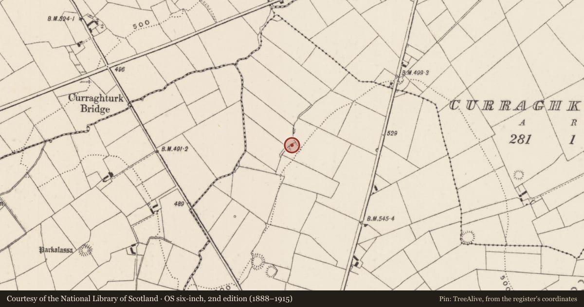 Ordnance Survey six-inch map, 2nd edition (1888–1915) covering the location of Earthwork, Ballyfauskeen, County Limerick, with a pin at the register's coordinates