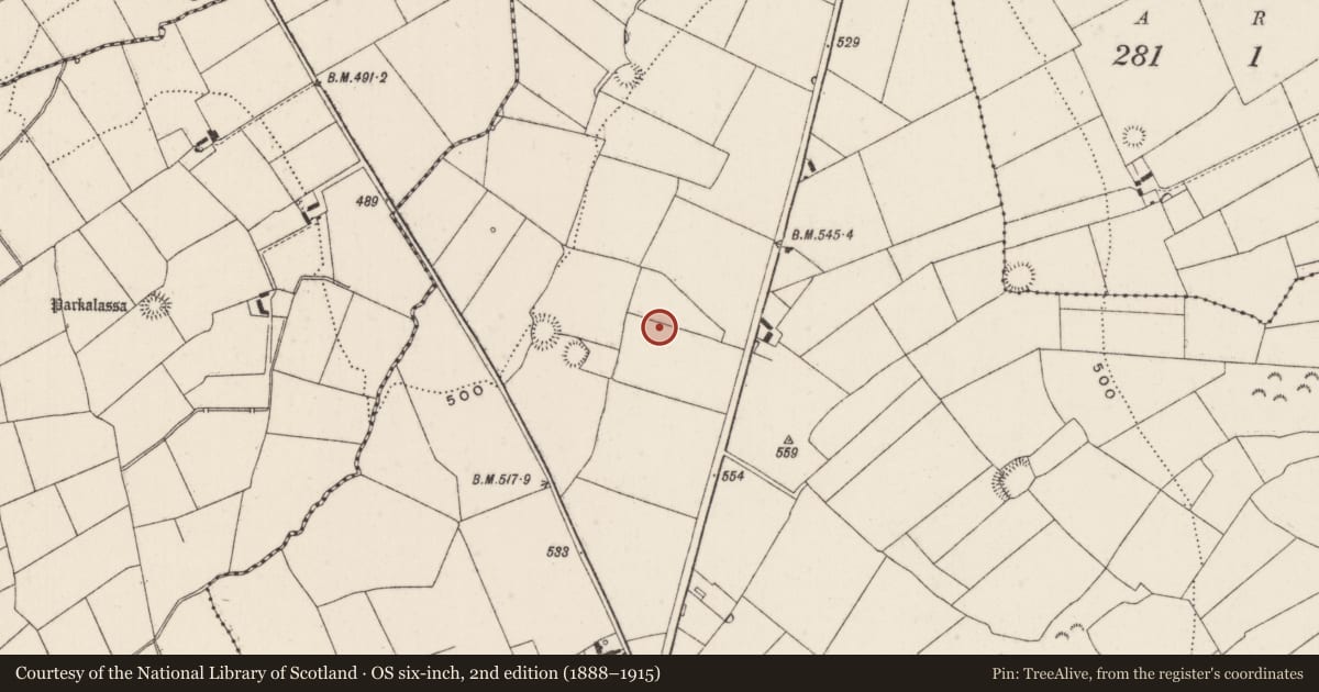 Ordnance Survey six-inch map, 2nd edition (1888–1915) covering the location of Fulacht fia, Ballyfauskeen, County Limerick, with a pin at the register's coordinates