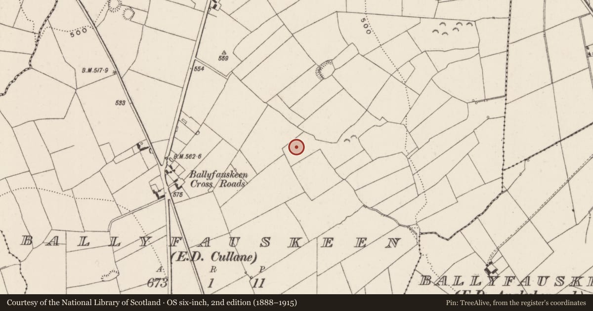 Ordnance Survey six-inch map, 2nd edition (1888–1915) covering the location of Earthwork, Ballyfauskeen, County Limerick, with a pin at the register's coordinates