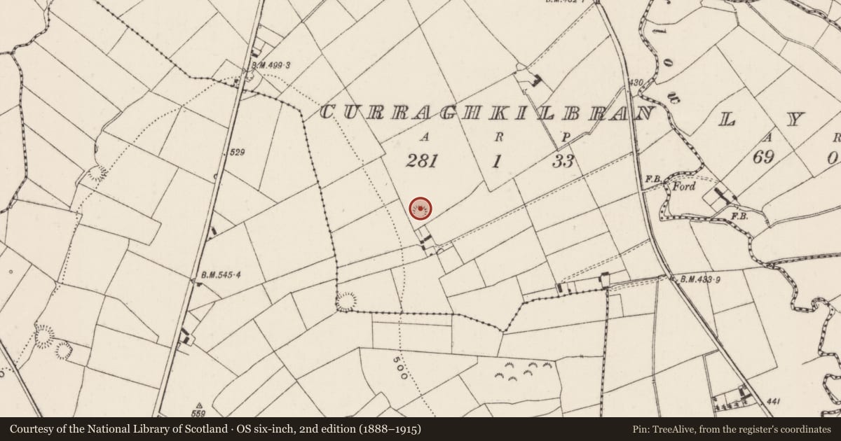 Ordnance Survey six-inch map, 2nd edition (1888–1915) covering the location of Earthwork, Curraghkilbran, County Limerick, with a pin at the register's coordinates