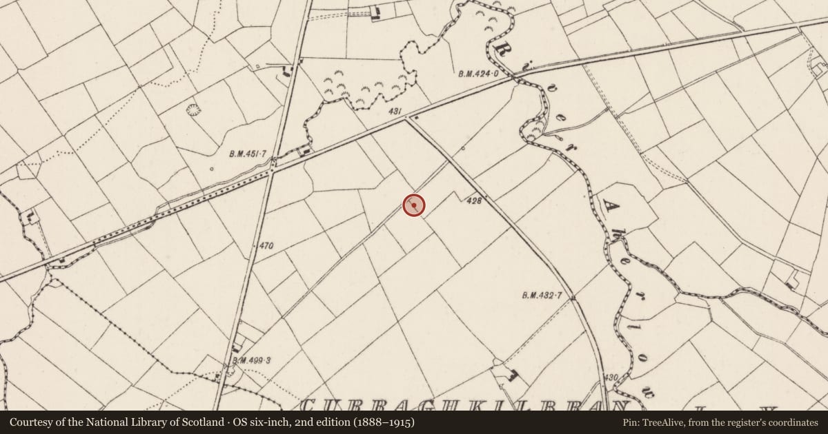 Ordnance Survey six-inch map, 2nd edition (1888–1915) covering the location of Earthwork, Curraghkilbran, County Limerick, with a pin at the register's coordinates