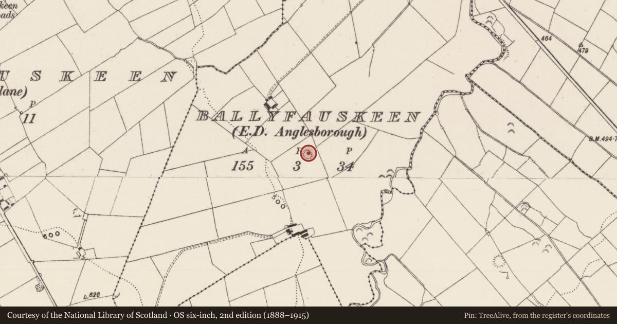 Ordnance Survey six-inch map, 2nd edition (1888–1915) covering the location of Earthwork, Ballyfauskeen, County Limerick, with a pin at the register's coordinates