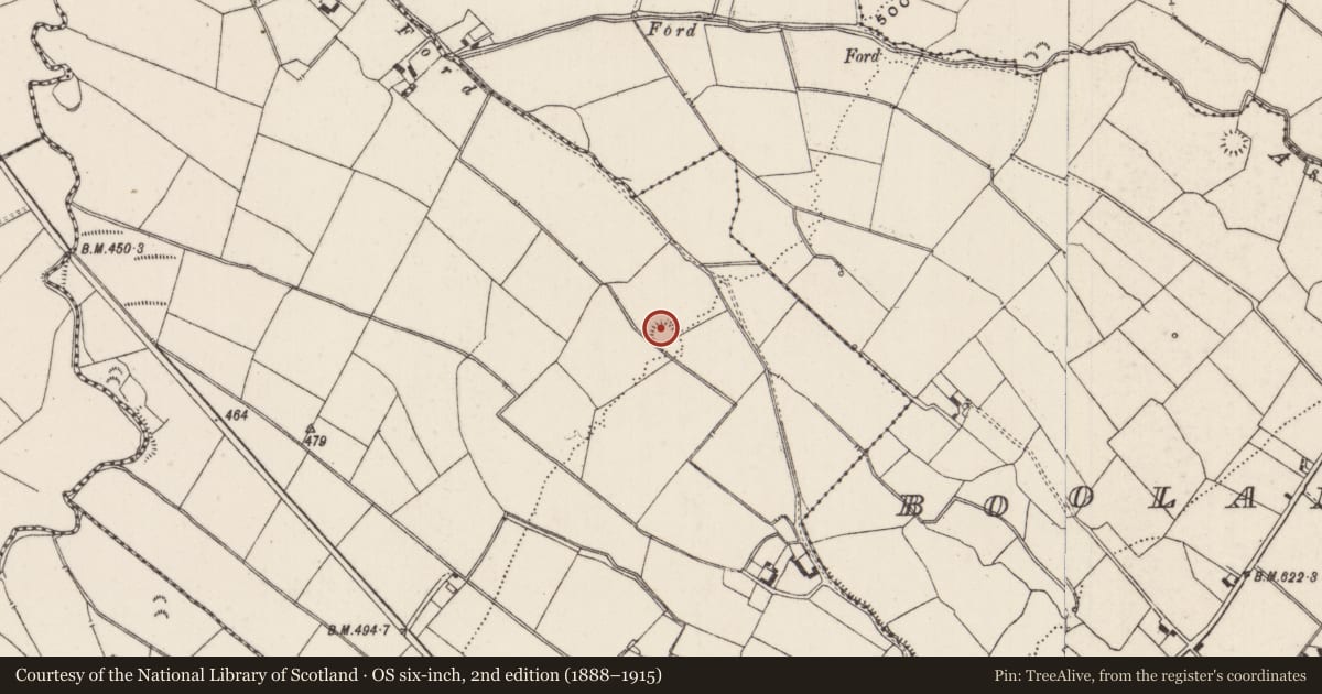 Ordnance Survey six-inch map, 2nd edition (1888–1915) covering the location of Earthwork, Inchacoomb, County Limerick, with a pin at the register's coordinates