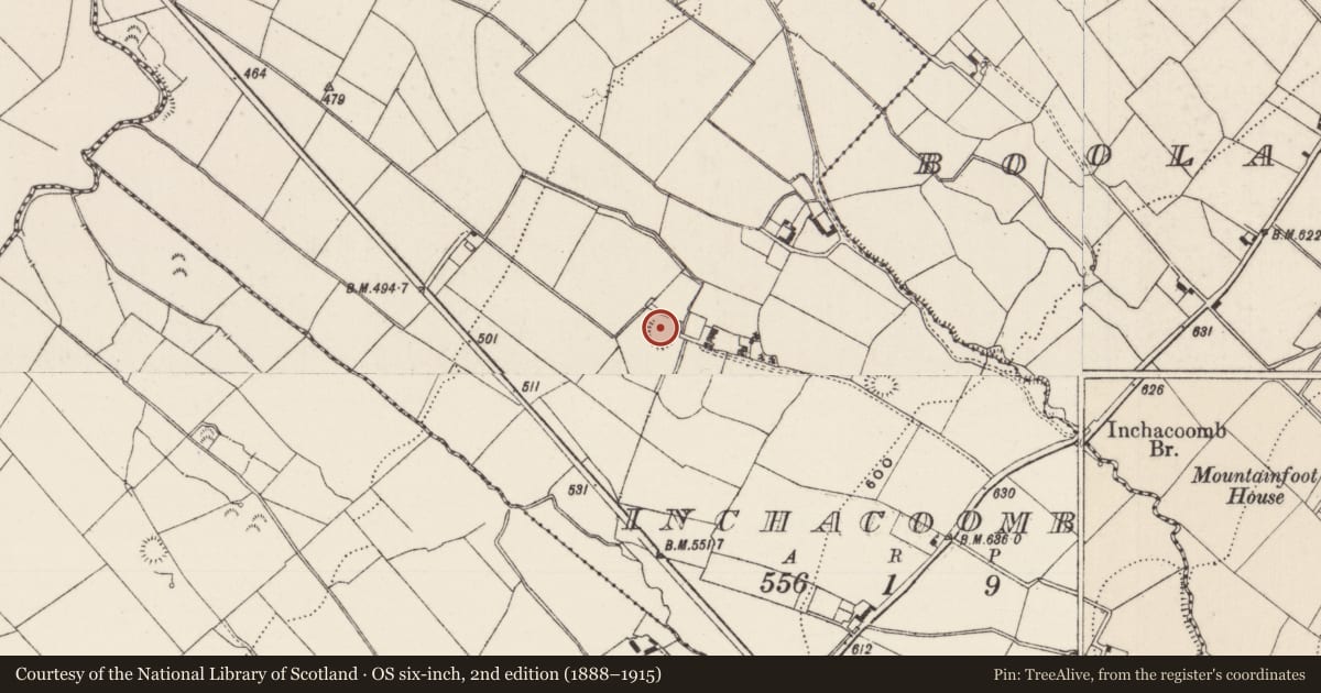 Ordnance Survey six-inch map, 2nd edition (1888–1915) covering the location of Earthwork, Inchacoomb, County Limerick, with a pin at the register's coordinates