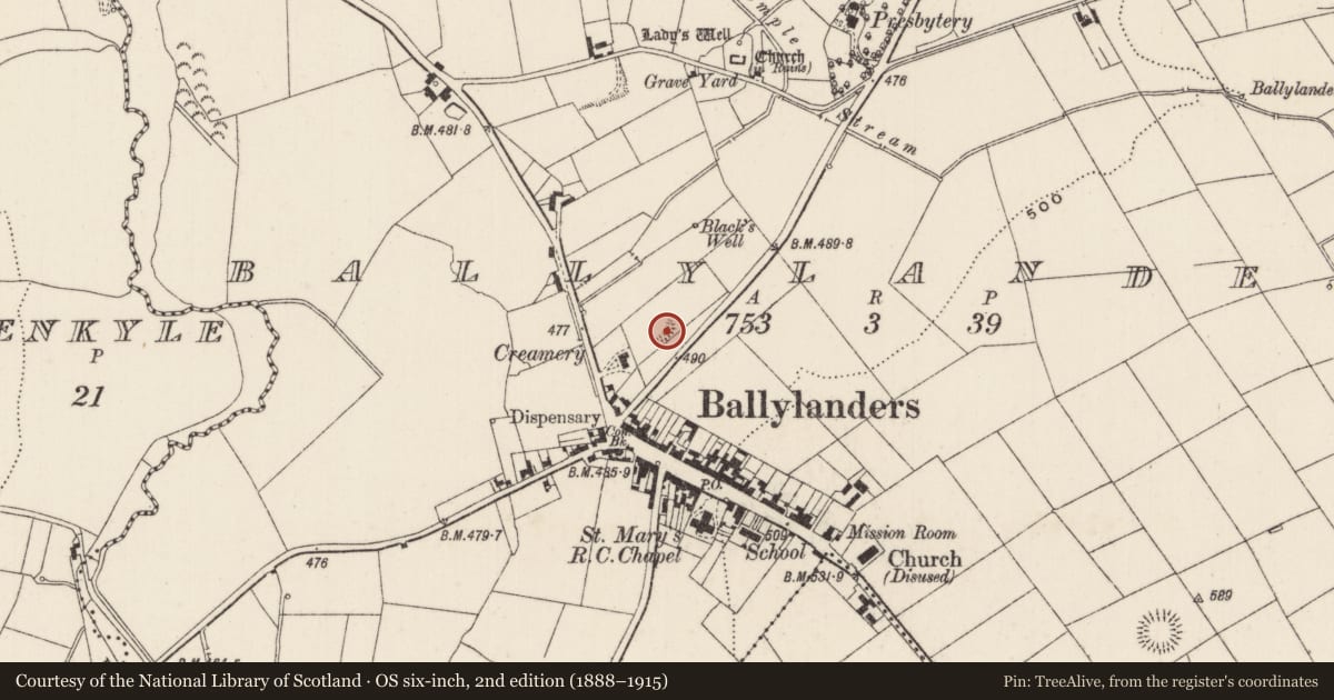 Ordnance Survey six-inch map, 2nd edition (1888–1915) covering the location of Enclosure, Ballylanders, County Limerick, with a pin at the register's coordinates