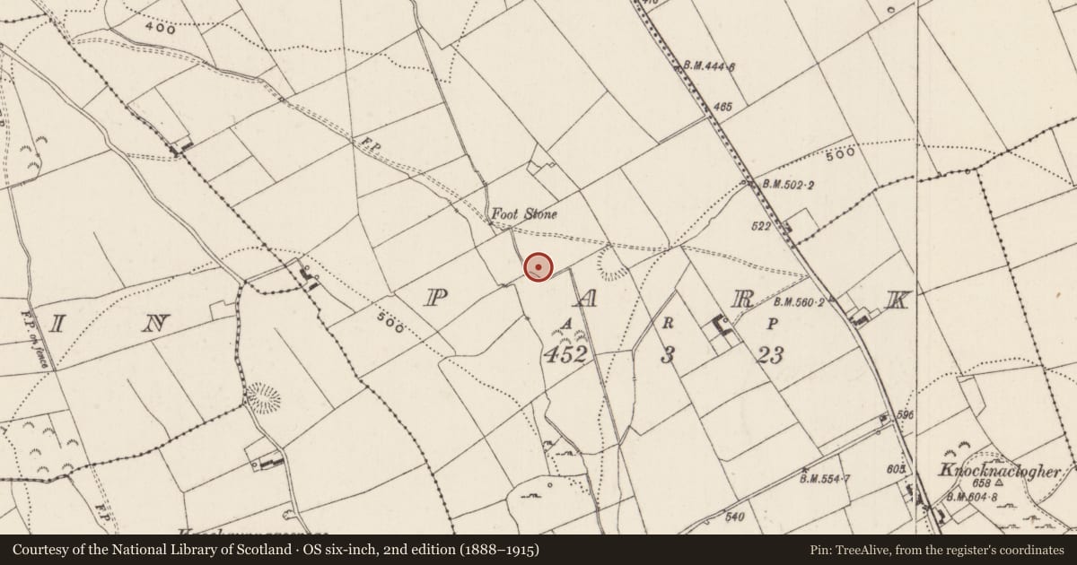 Ordnance Survey six-inch map, 2nd edition (1888–1915) covering the location of Enclosure, Park, County Limerick, with a pin at the register's coordinates