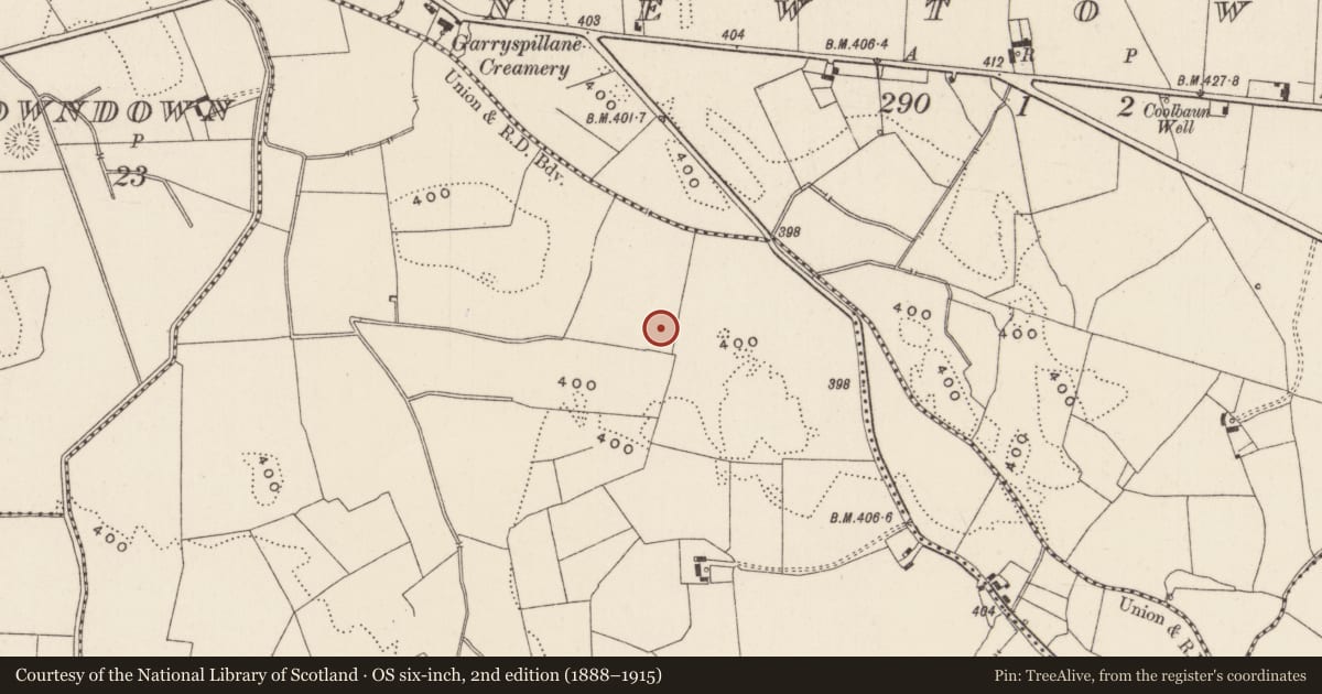 Ordnance Survey six-inch map, 2nd edition (1888–1915) covering the location of Barrow - ditch barrow, Ballyfroota, County Limerick, with a pin at the register's coordinates