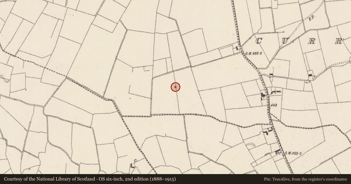 Ordnance Survey six-inch map, 2nd edition (1888–1915) covering the location of Barrow - unclassified, Duntryleague, County Limerick, with a pin at the register's coordinates