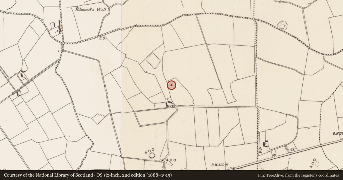 Ordnance Survey six-inch map, 2nd edition (1888–1915) covering the location of Barrow - unclassified, Glenlary, County Limerick, with a pin at the register's coordinates