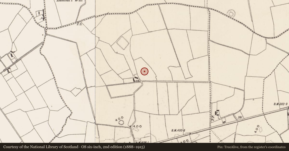Ordnance Survey six-inch map, 2nd edition (1888–1915) covering the location of Barrow - unclassified, Glenlary, County Limerick, with a pin at the register's coordinates
