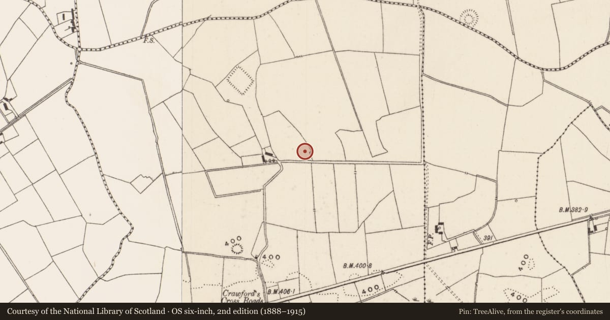Ordnance Survey six-inch map, 2nd edition (1888–1915) covering the location of Barrow - unclassified, Glenlary, County Limerick, with a pin at the register's coordinates