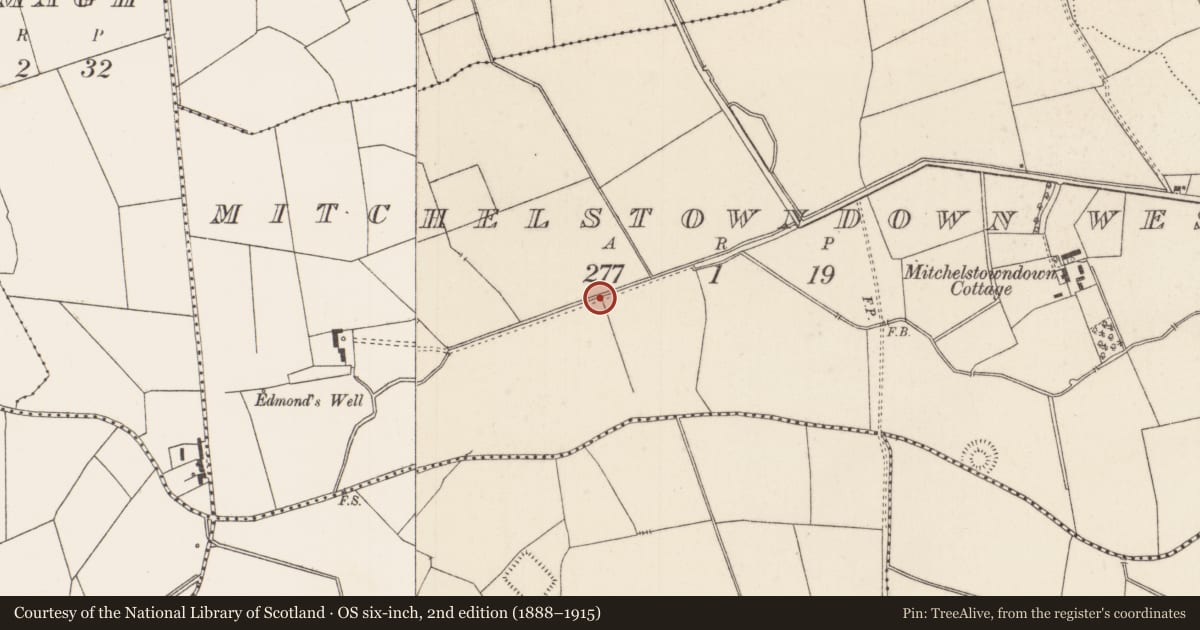 Ordnance Survey six-inch map, 2nd edition (1888–1915) covering the location of Barrow - ditch barrow, Mitchelstowndown West, County Limerick, with a pin at the register's coordinates