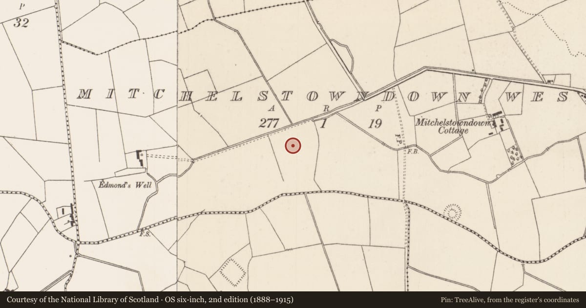 Ordnance Survey six-inch map, 2nd edition (1888–1915) covering the location of Barrow - ditch barrow, Mitchelstowndown West, County Limerick, with a pin at the register's coordinates