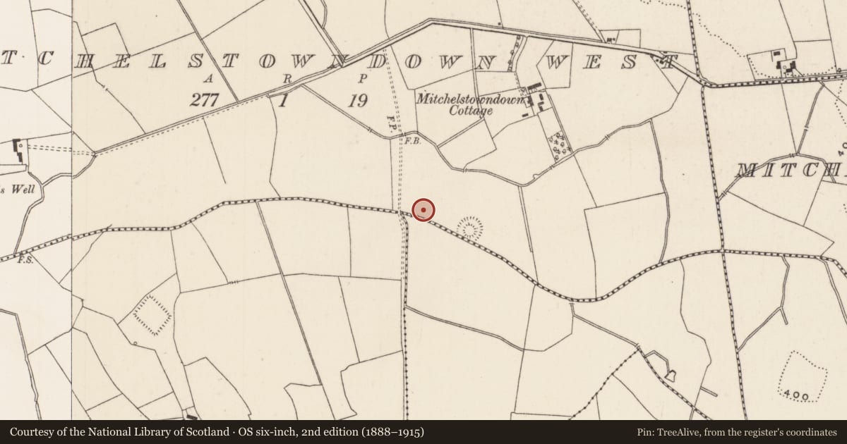 Ordnance Survey six-inch map, 2nd edition (1888–1915) covering the location of Barrow - ditch barrow, Mitchelstowndown West, County Limerick, with a pin at the register's coordinates
