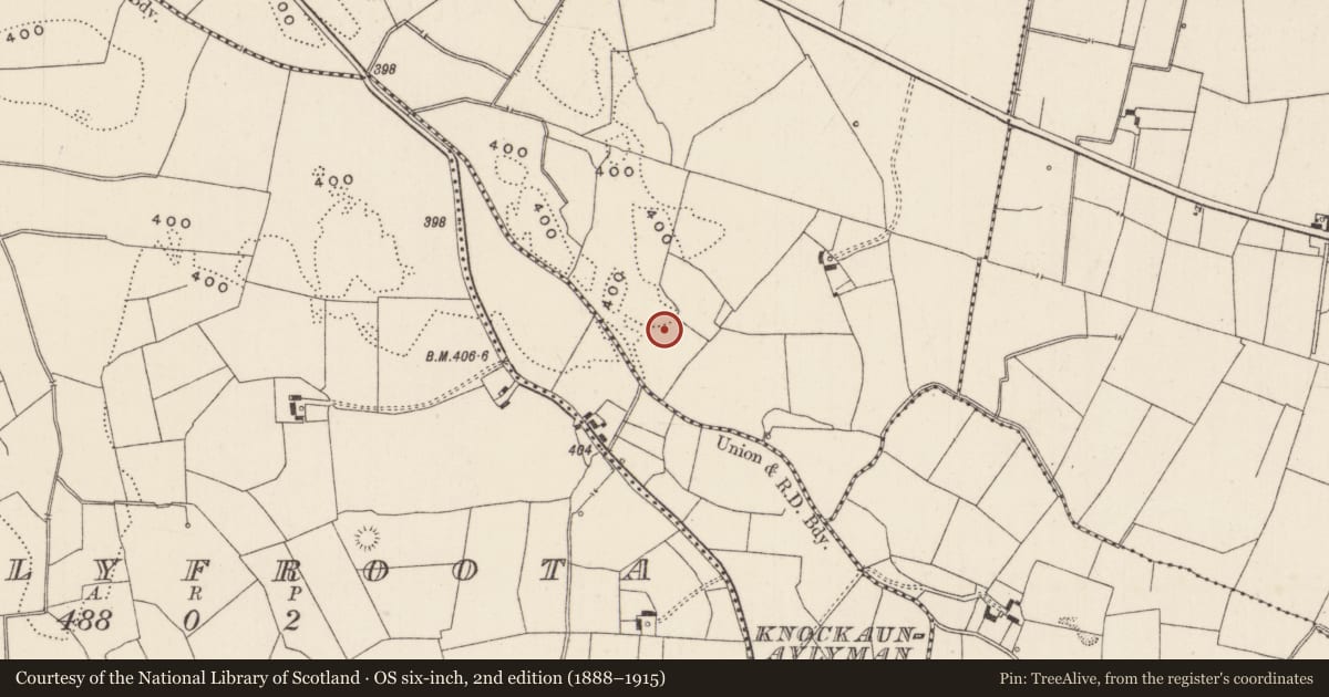 Ordnance Survey six-inch map, 2nd edition (1888–1915) covering the location of Barrow - ditch barrow, Newtown, County Limerick, with a pin at the register's coordinates