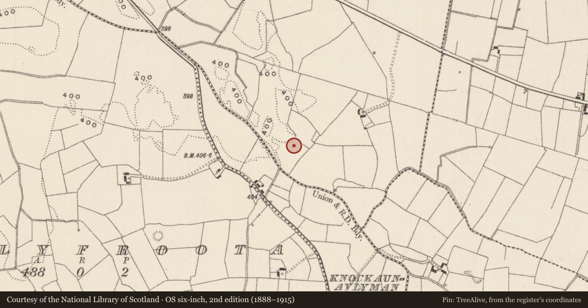 Ordnance Survey six-inch map, 2nd edition (1888–1915) covering the location of Barrow - ditch barrow, Newtown, County Limerick, with a pin at the register's coordinates