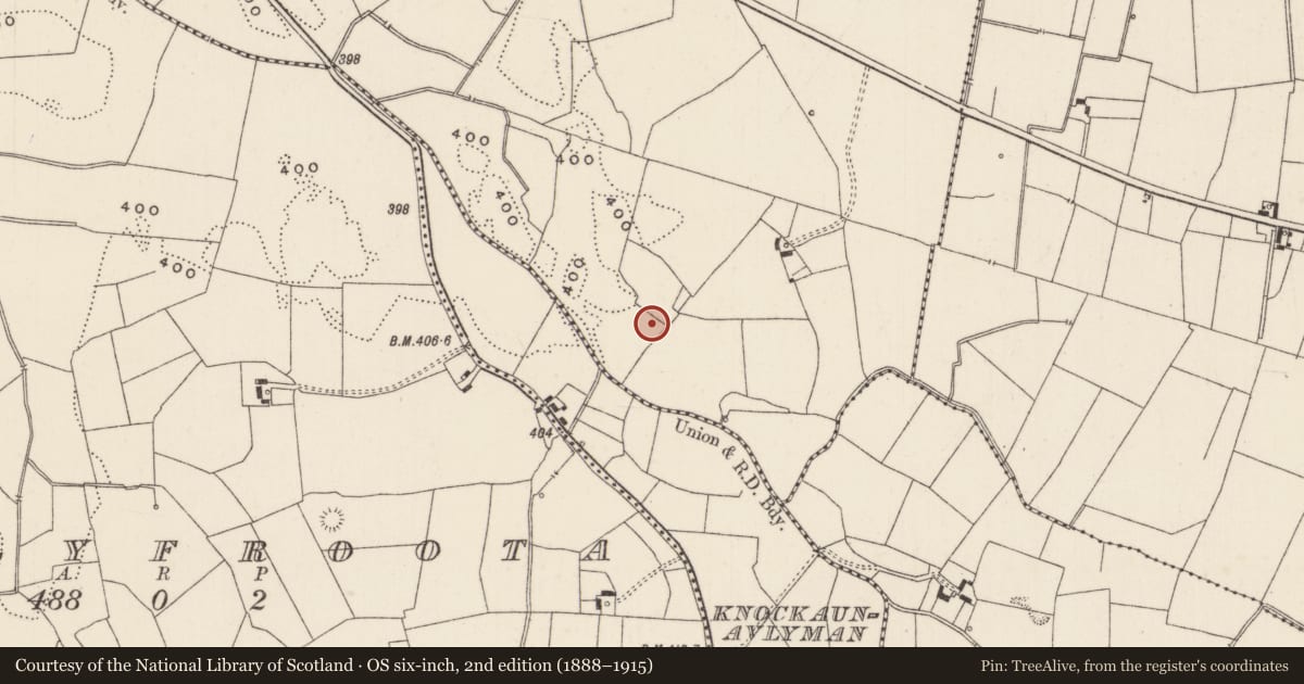 Ordnance Survey six-inch map, 2nd edition (1888–1915) covering the location of Barrow - unclassified, Newtown, County Limerick, with a pin at the register's coordinates