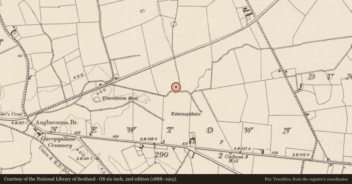 Ordnance Survey six-inch map, 2nd edition (1888–1915) covering the location of Barrow - unclassified, Raheen, County Limerick, with a pin at the register's coordinates