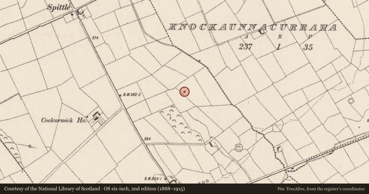 Ordnance Survey six-inch map, 2nd edition (1888–1915) covering the location of Barrow - unclassified, Spittle, County Limerick, with a pin at the register's coordinates