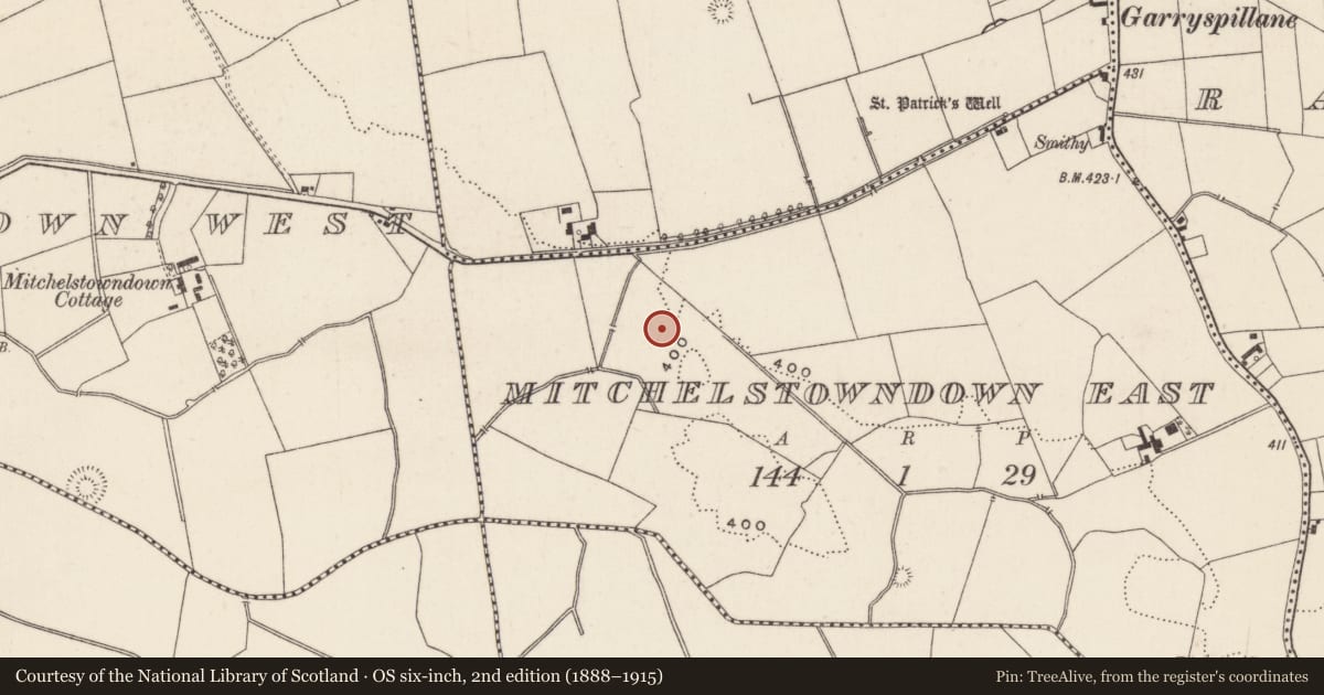 Ordnance Survey six-inch map, 2nd edition (1888–1915) covering the location of Barrow - unclassified, Mitchelstowndown East, County Limerick, with a pin at the register's coordinates