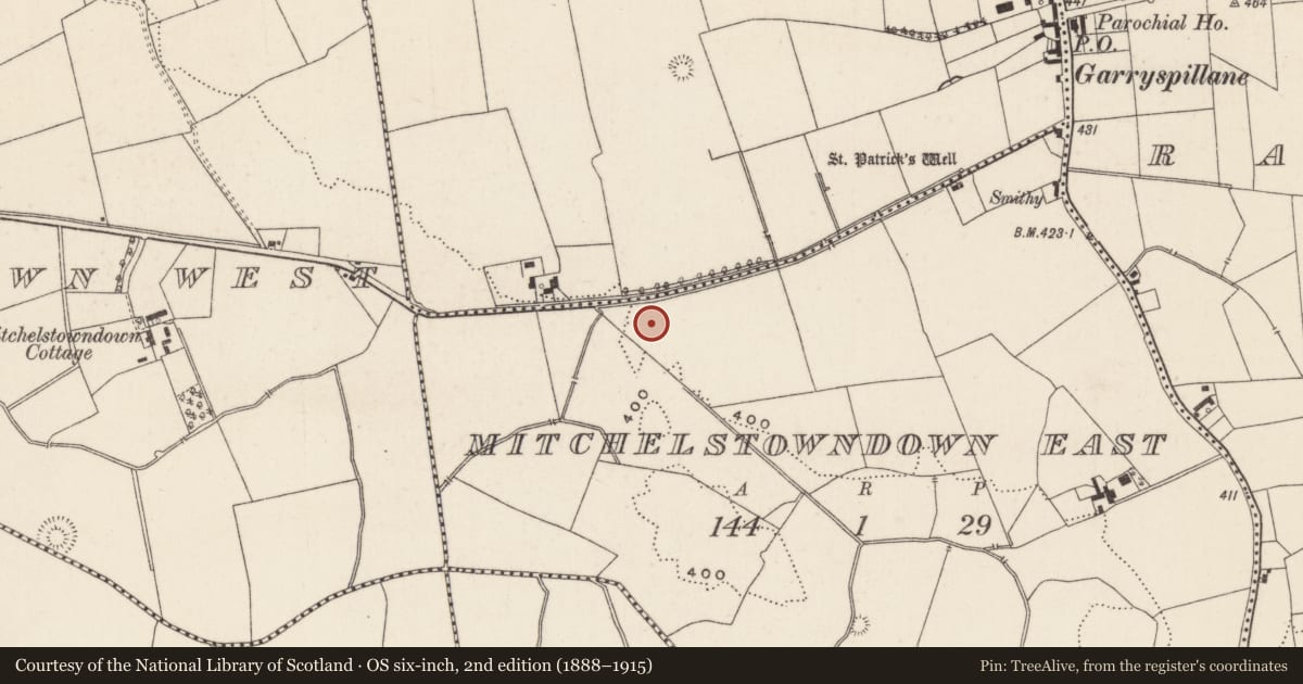 Ordnance Survey six-inch map, 2nd edition (1888–1915) covering the location of Barrow - unclassified, Mitchelstowndown East, County Limerick, with a pin at the register's coordinates