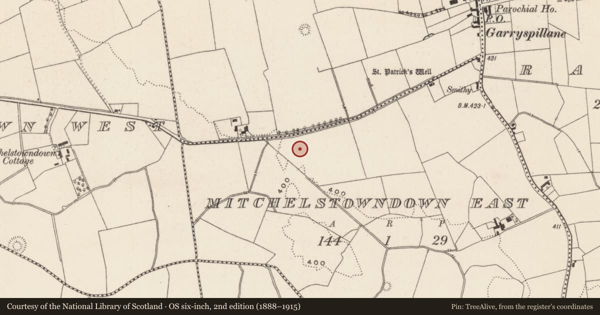 Ordnance Survey six-inch map, 2nd edition (1888–1915) covering the location of Barrow - unclassified, Mitchelstowndown East, County Limerick, with a pin at the register's coordinates