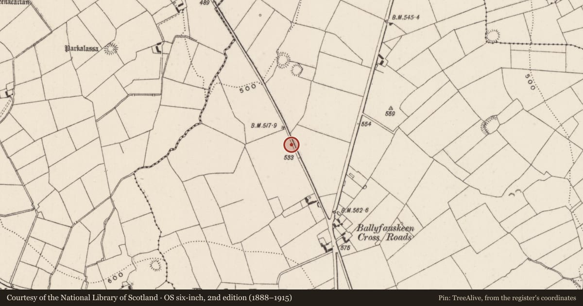 Ordnance Survey six-inch map, 2nd edition (1888–1915) covering the location of Earthwork, Ballyfauskeen, County Limerick, with a pin at the register's coordinates