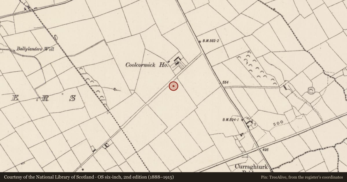 Ordnance Survey six-inch map, 2nd edition (1888–1915) covering the location of Barrow - unclassified, Spittle, County Limerick, with a pin at the register's coordinates
