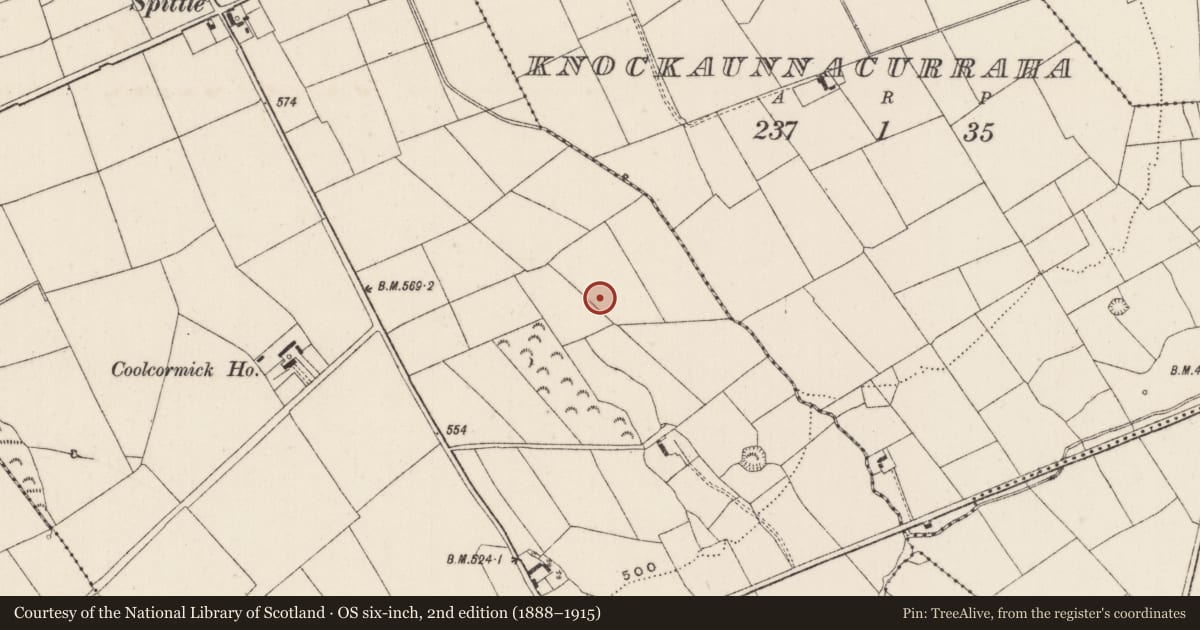 Ordnance Survey six-inch map, 2nd edition (1888–1915) covering the location of Barrow - unclassified, Spittle, County Limerick, with a pin at the register's coordinates
