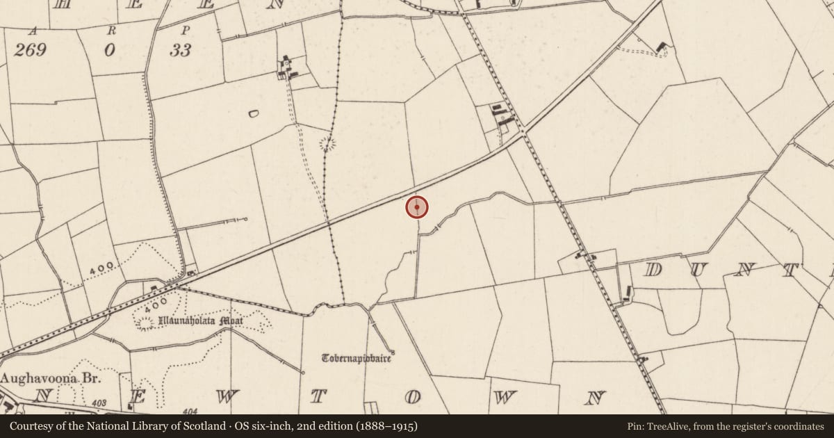 Ordnance Survey six-inch map, 2nd edition (1888–1915) covering the location of Earthwork, Newtown, County Limerick, with a pin at the register's coordinates