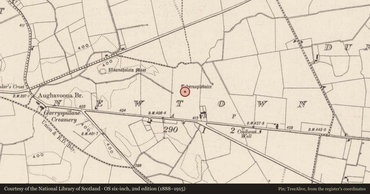Ordnance Survey six-inch map, 2nd edition (1888–1915) covering the location of Earthwork, Newtown, County Limerick, with a pin at the register's coordinates