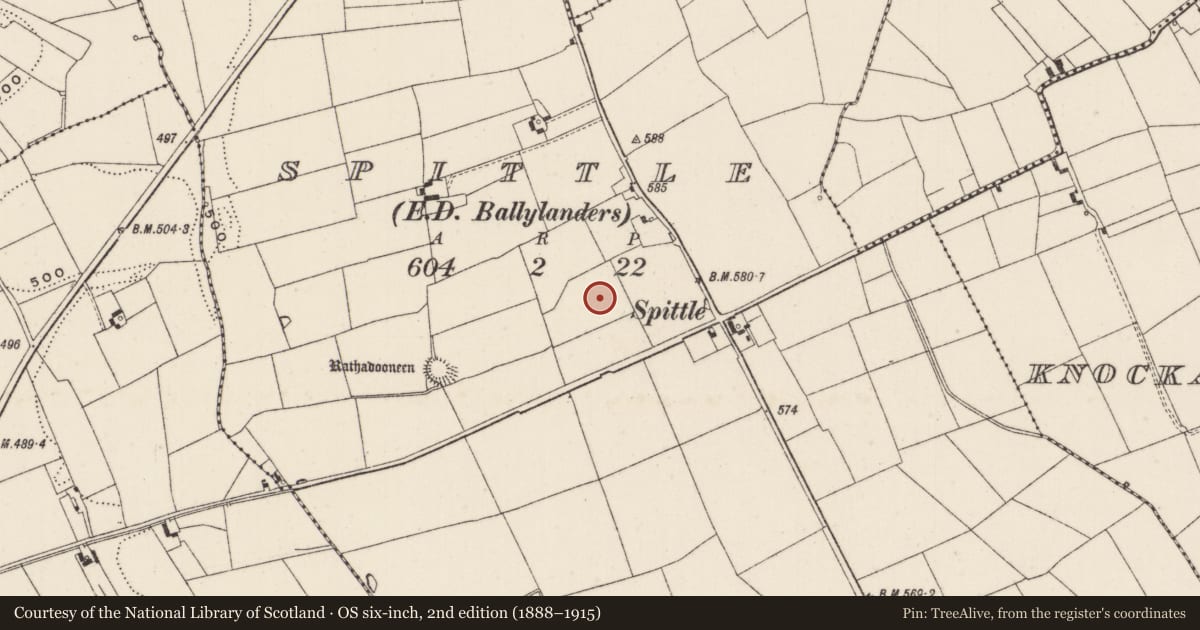 Ordnance Survey six-inch map, 2nd edition (1888–1915) covering the location of Earthwork, Spittle, County Limerick, with a pin at the register's coordinates