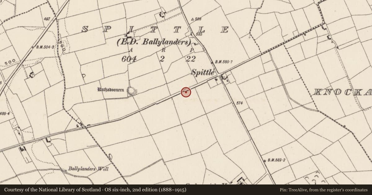 Ordnance Survey six-inch map, 2nd edition (1888–1915) covering the location of Earthwork, Spittle, County Limerick, with a pin at the register's coordinates
