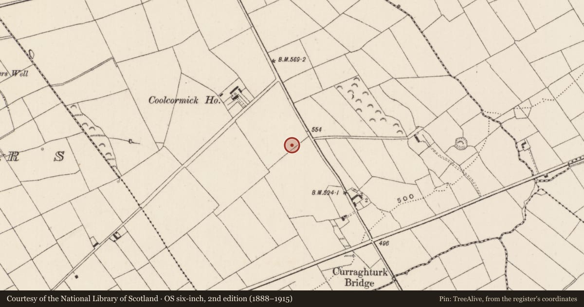 Ordnance Survey six-inch map, 2nd edition (1888–1915) covering the location of Earthwork, Spittle, County Limerick, with a pin at the register's coordinates