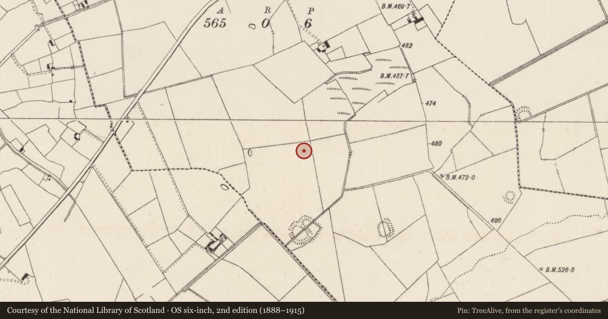 Ordnance Survey six-inch map, 2nd edition (1888–1915) covering the location of Barrow - unclassified, Ballynamona, County Limerick, with a pin at the register's coordinates