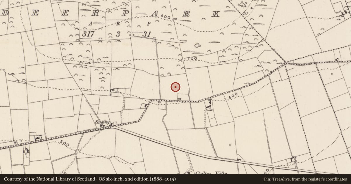 Ordnance Survey six-inch map, 2nd edition (1888–1915) covering the location of Earthwork, Deerpark, County Limerick, with a pin at the register's coordinates