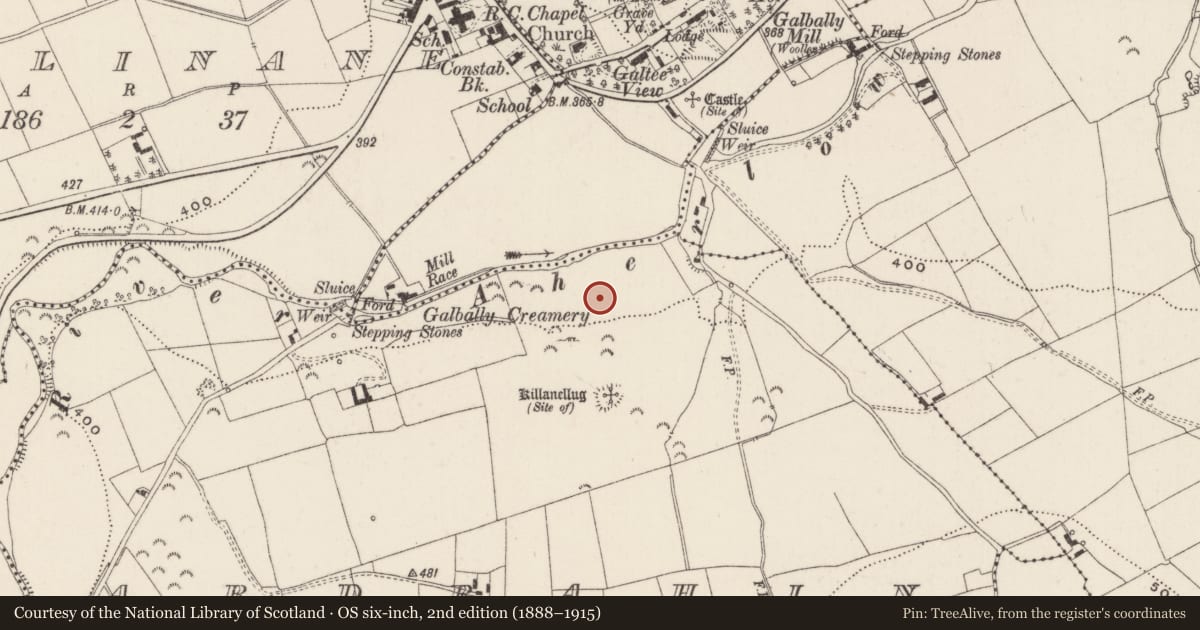 Ordnance Survey six-inch map, 2nd edition (1888–1915) covering the location of Moated site, Ardrahin, County Limerick, with a pin at the register's coordinates