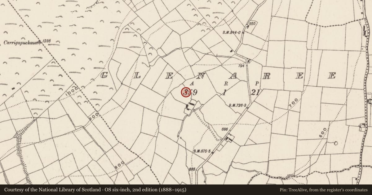 Ordnance Survey six-inch map, 2nd edition (1888–1915) covering the location of Urn burial, Glenaree, County Limerick, with a pin at the register's coordinates