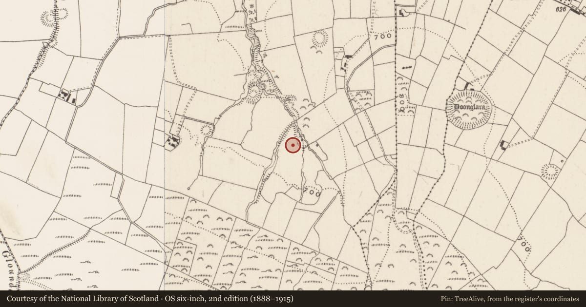 Ordnance Survey six-inch map, 2nd edition (1888–1915) covering the location of Pit-burial, Glenlary, County Limerick, with a pin at the register's coordinates