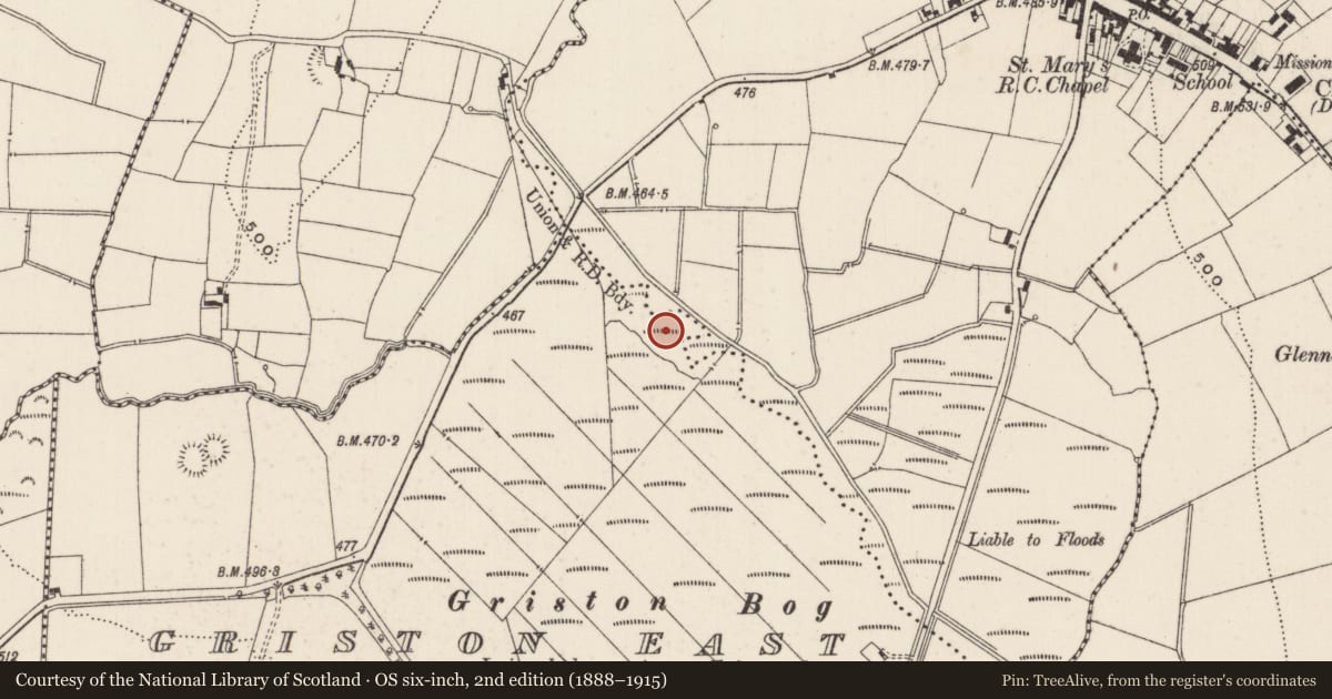 Ordnance Survey six-inch map, 2nd edition (1888–1915) covering the location of Fulacht fia, Griston East, County Limerick, with a pin at the register's coordinates