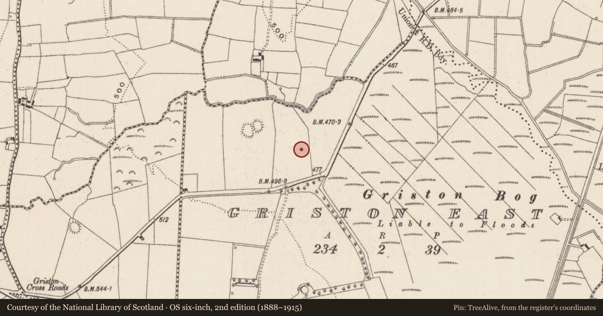 Ordnance Survey six-inch map, 2nd edition (1888–1915) covering the location of Enclosure, Griston East, County Limerick, with a pin at the register's coordinates