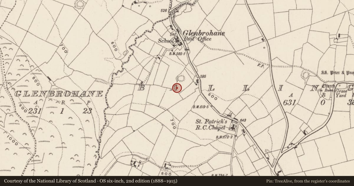 Ordnance Survey six-inch map, 2nd edition (1888–1915) covering the location of Enclosure, Ballingarry, County Limerick, with a pin at the register's coordinates