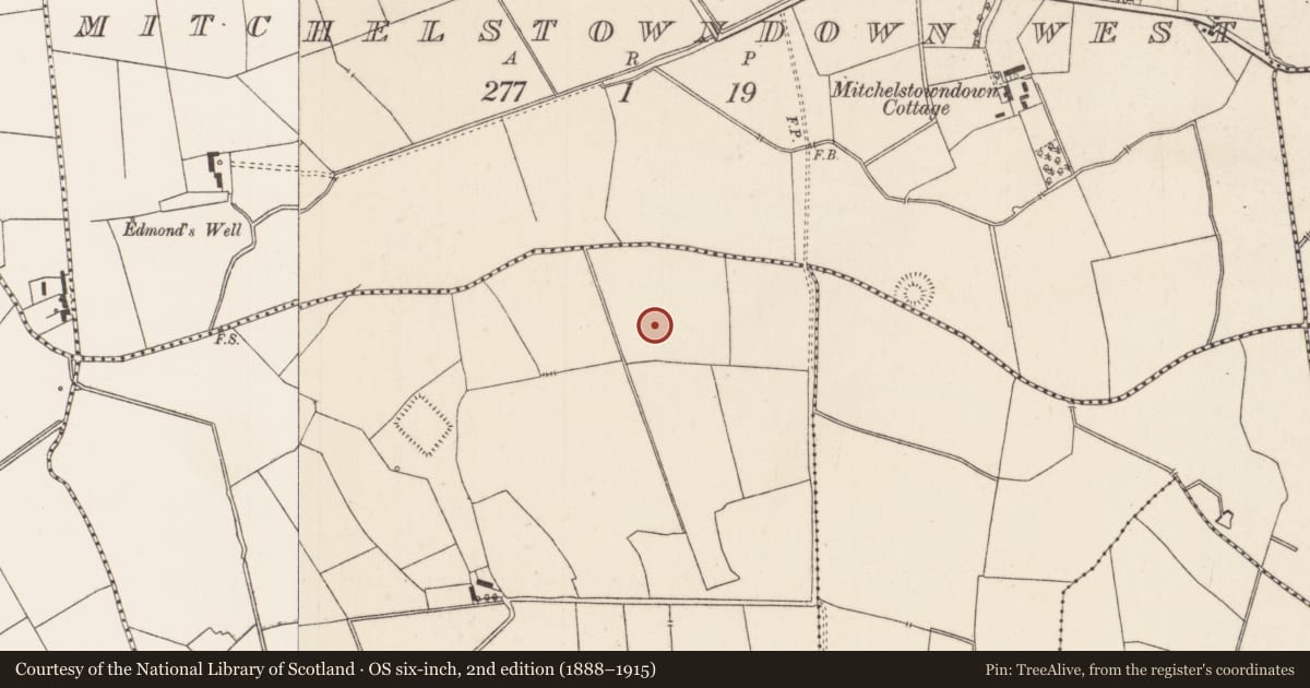 Ordnance Survey six-inch map, 2nd edition (1888–1915) covering the location of Barrow - ditch barrow, Glenlary, County Limerick, with a pin at the register's coordinates